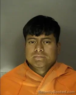 Mugshot of DARVIN JONATHAN PEREZ PEREZ booked in Horry County, South Carolina on May 16, 2026