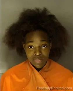 Mugshot of DEASIA SHAMORIA GARMON booked in Horry County, South Carolina on May 17, 2026
