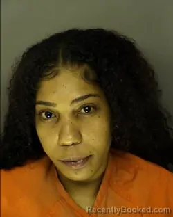 Mugshot of PAMELA VALDEZ booked in Horry County, South Carolina on May 18, 2026