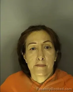 Mugshot of HILDA ZAUALETA booked in Horry County, South Carolina on May 21, 2026