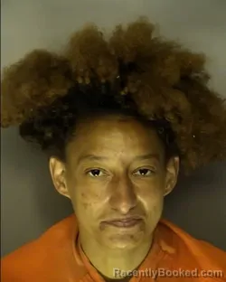 Mugshot of TANISHA DIANE BLADES booked in Horry County, South Carolina on May 21, 2026