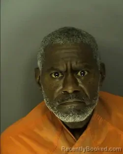 Mugshot of DARREL PETERSON booked in Horry County, South Carolina on May 31, 2026