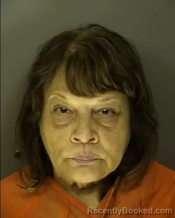 Mugshot of REBA MARIE MCCAFFERY booked in Horry County, South Carolina on June 3, 2026