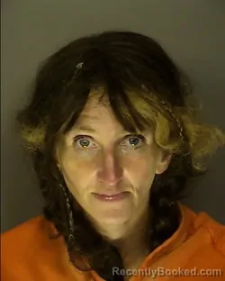 Mugshot of SAMANTHA ANNMARIE GALLO booked in Horry County, South Carolina on June 3, 2026