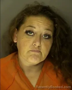 Mugshot of ERICA LYNN BROWN booked in Horry County, South Carolina on June 3, 2026