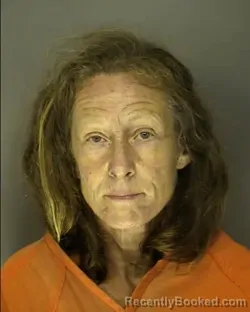 Mugshot of CRYSTAL ANNETTE ALEXANDER booked in Horry County, South Carolina on June 4, 2026