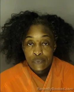 Mugshot of LATAVIA LATEEFAH MCGEE booked in Horry County, South Carolina on June 4, 2026