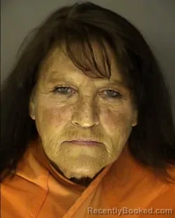 Mugshot of LISA M. MCPHERSON booked in Horry County, South Carolina on June 5, 2026