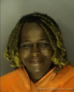 Mugshot of LUCINDA SMITH booked in Horry County, South Carolina on June 5, 2026