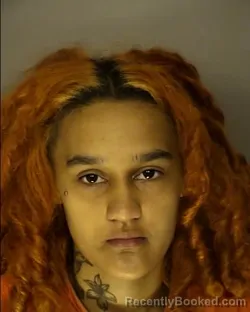Mugshot of KAYLEE DANAE MORGAN booked in Horry County, South Carolina on June 6, 2026
