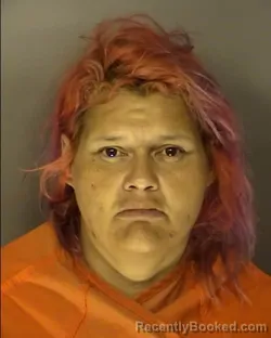 Mugshot of JENNIFER NICOLE BOLIN booked in Horry County, South Carolina on June 6, 2026