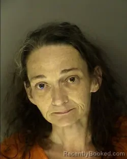 Mugshot of CHRISTINA JOYCE WINTERS booked in Horry County, South Carolina on June 9, 2026