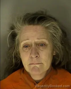 Mugshot of MONICA DAWN CUSSINS booked in Horry County, South Carolina on June 10, 2026