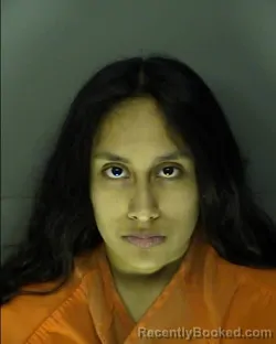 Mugshot of JOCELYN MICHELLE OTERO booked in Horry County, South Carolina on June 11, 2026
