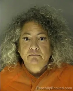 Mugshot of CAREN DENISE HIGGINS booked in Horry County, South Carolina on June 13, 2026