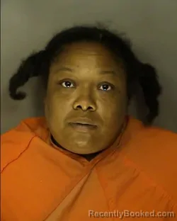 Mugshot of TANESHA NICOLE LUCAS booked in Horry County, South Carolina on June 13, 2026