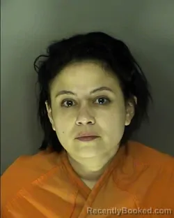 Mugshot of LISDANIA ROSA COHEN booked in Horry County, South Carolina on June 14, 2026