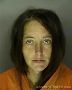 Mugshot of KAREN BRITTANY BARRINEAU booked in Horry County, South Carolina on June 14, 2026