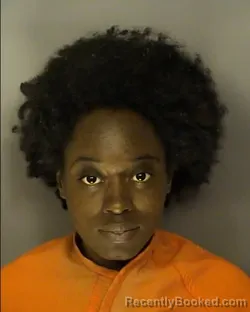 Mugshot of JESSICA TELWANDA MAXWELL booked in Horry County, South Carolina on June 15, 2026