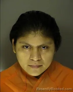 Mugshot of ANA MAVILIA PEREZ MOLINA booked in Horry County, South Carolina on June 17, 2026