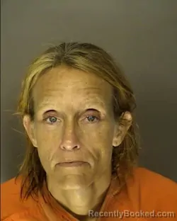 Mugshot of DENISE MICHELLE WICKBERG booked in Horry County, South Carolina on June 24, 2026