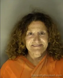 Mugshot of ELIZABETH ALLISON GILLIGAN booked in Horry County, South Carolina on June 30, 2026