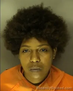 Mugshot of TYSHEMA SHARAE WHITAKER booked in Horry County, South Carolina on July 1, 2026