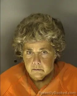 Mugshot of STELLA ROSE DIPPLE booked in Horry County, South Carolina on July 2, 2026