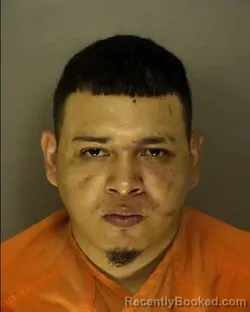Mugshot of BRYAN JOSUE ROSALES MUNGUIA booked in Horry County, South Carolina on July 3, 2026