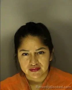 Mugshot of BRENDA HORTENCIA CRUZ VERDUGO booked in Horry County, South Carolina on July 3, 2026