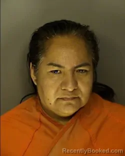 Mugshot of CELERINA IBARRA HERNANDEZ booked in Horry County, South Carolina on July 3, 2026