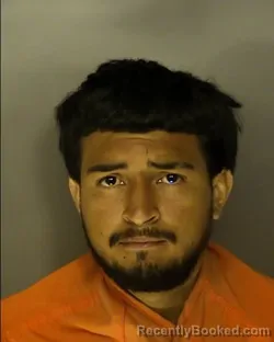 Mugshot of DEYBI FRANCISCO MORENO REYES booked in Horry County, South Carolina on July 3, 2026