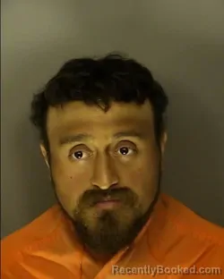 Mugshot of LUIS ALFREDO VIERA PIRIR booked in Horry County, South Carolina on July 3, 2026