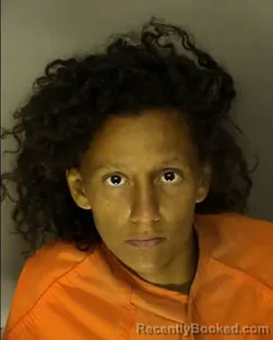 Mugshot of DESTINY ALIJAH MATOS booked in Horry County, South Carolina on July 3, 2026