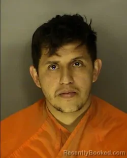 Mugshot of JOSE ALARCON BERGANZA booked in Horry County, South Carolina on July 3, 2026