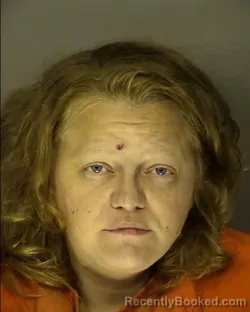 Mugshot of CAROLYNN MARIE LITTLE booked in Horry County, South Carolina on July 3, 2026