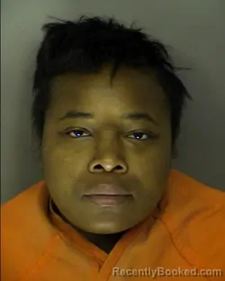 Mugshot of MERCEDES FANTASIA QUMAYA WASHINGTON booked in Horry County, South Carolina on July 6, 2026