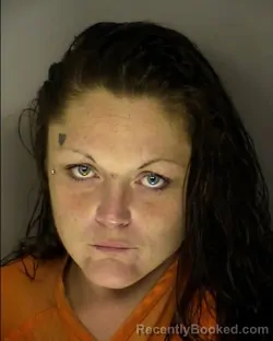 Mugshot of JAMIE LYNN ANDERSON booked in Horry County, South Carolina on July 6, 2026