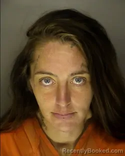 Mugshot of KAREN BRITTANY BARRINEAU booked in Horry County, South Carolina on July 6, 2026