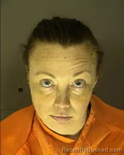 Mugshot of Brittany Lynne Lewis booked in Horry County, South Carolina on July 25, 2026