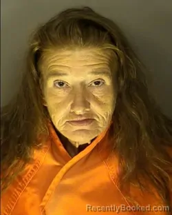 Mugshot of Patricia Carol Rooth booked in Horry County, South Carolina on July 25, 2026