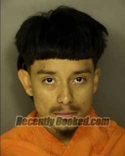 Booking photo from Horry County, South Carolina
