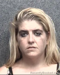 Mugshot of Heaven Ashlee Rose Porter booked in Horry County, South Carolina on August 5, 2026