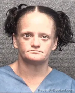 Mugshot of JESSICA CORRINE BROWN booked in Horry County, South Carolina on July 6, 2026
