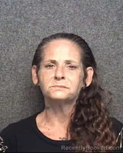 Mugshot of Juanita Joyce Bryson booked in Horry County, South Carolina on August 22, 2026