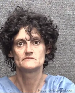 Mugshot of JESSICA JEAN  NICOLE FORTENBERRY