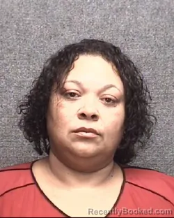 Mugshot of JAMIE LYNN HOLDER