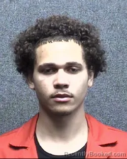 Mugshot of JAMES XZAVIER ROBINSON booked in Horry County, South Carolina on March 29, 2026