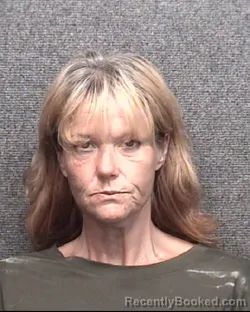 Mugshot of Jennie Kay Wilson booked in Horry County, South Carolina on August 15, 2026