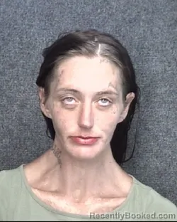 Mugshot of KAREN BRITTANY BARRINEAU booked in Horry County, South Carolina on June 9, 2026